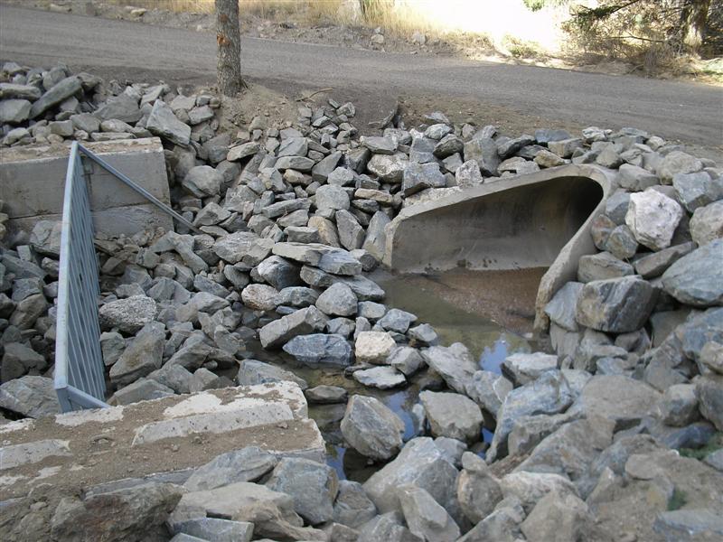 Lower Trail Creek - Water Quality Enhancement